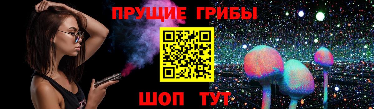 Мурманск  Псилоцибиновые грибы Magic Shrooms  где можно купить наркотик  Вход с VPN 